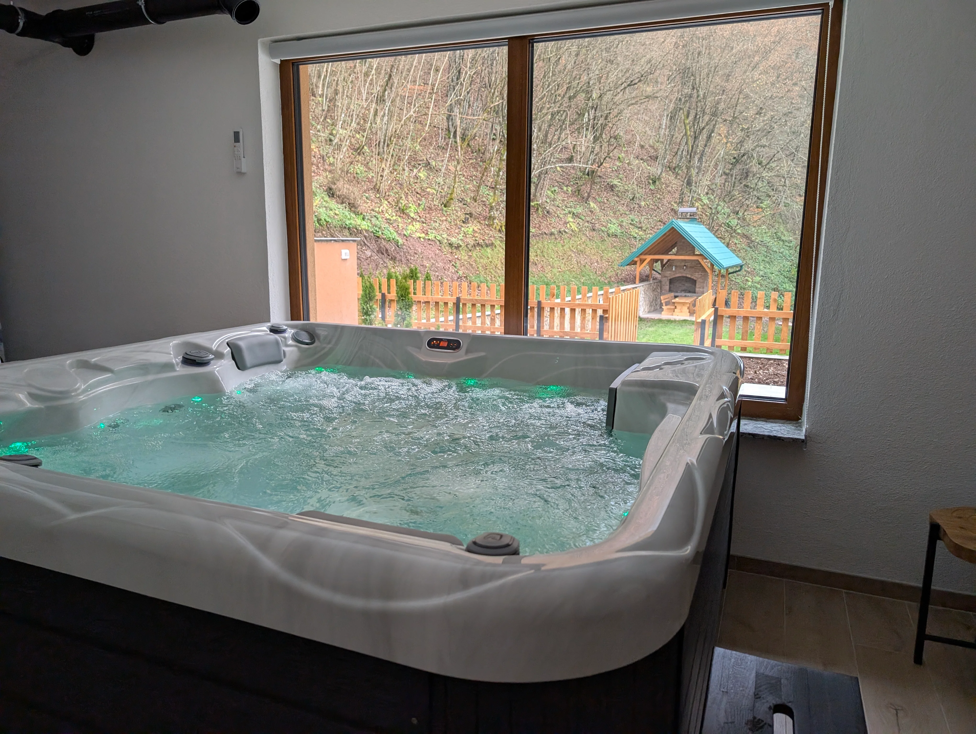 Indoor hot tub with forest view